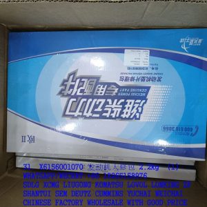WEICHAI ENGINE PARTS X6156001070 ENGINE REPAIR KIT