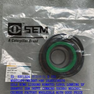 SEM SPARE PARTS 5371324 CYLINDER OIL SEAL