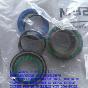 SEM SPARE PARTS 5370665 CYLINDER OIL SEAL