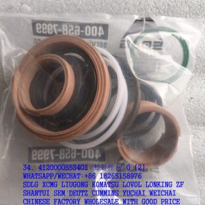 SDLG SPARE PARTS 4120000553401 SAELING RING KIT