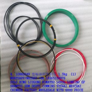 SANY EXCAVATOR 10882549 LUFFING CYLINDER SEALING KIT