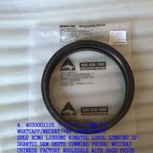 SDLG SPARE PARTS 4030001105 OIL SEAL 8117105329 4030000220