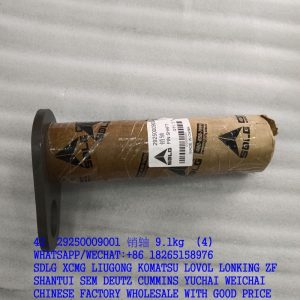 29250009001 pin 4043000015 29250000161 SDLG spare parts