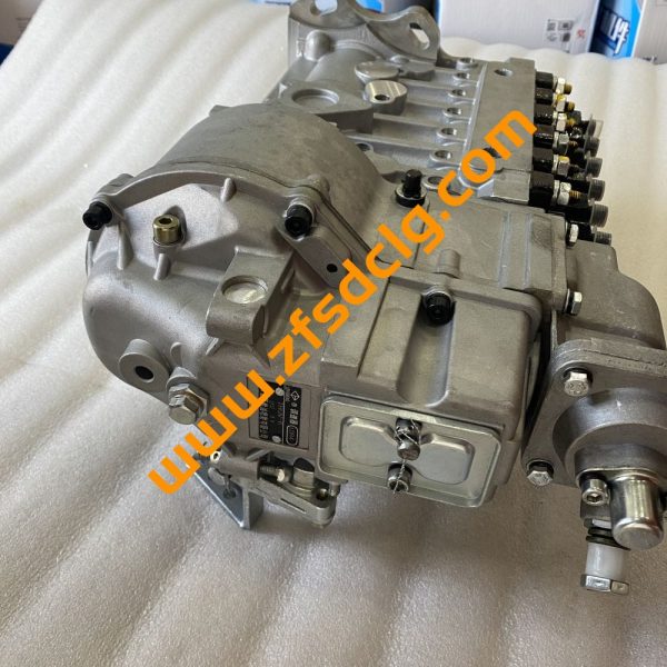 Authentic Weichai Engine WD10G Parts FUEL PUMP 612601080575 221152271 BHT6P120R FOR SALE - Image 2