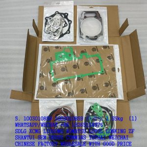 1003010859 TD226B-6G Engine Repair Kit 1302395801 4110000189032 for weichai spare parts