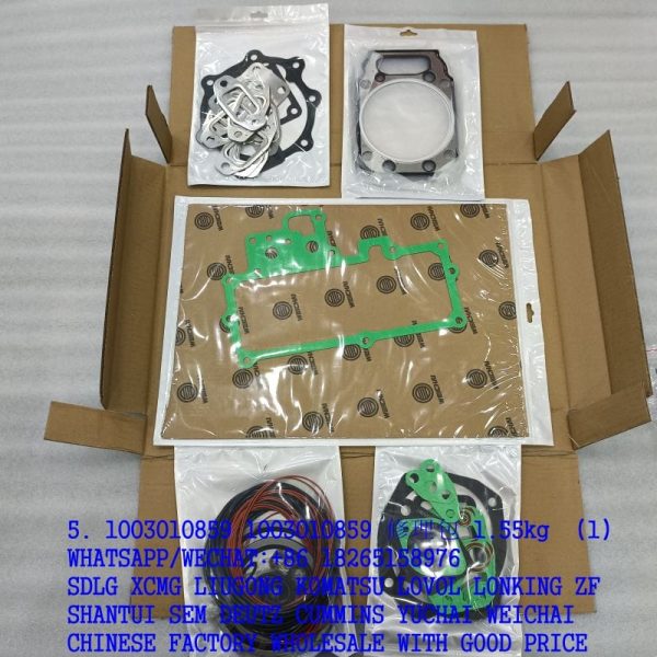 1003010859 TD226B-6G Engine Repair Kit 1302395801 4110000189032 for weichai spare parts