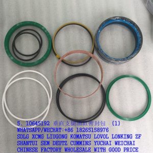 SANY EXCAVATOR PARTS 10645192 VERTICAL LEG CYLINDER SEALING KIT