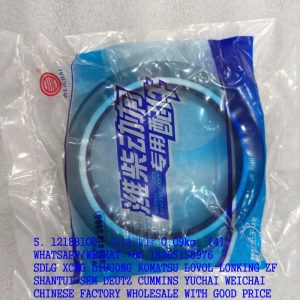 WEICHAI DEUTZ ENGINE PARTS 12188100 CAMSHAFT SEAL 12189888
