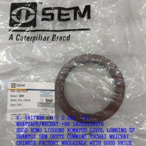 5817926 Oil seal W028000006B for SEM wheel loader