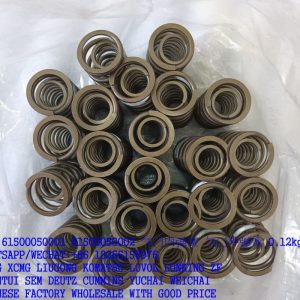 WEICHAI WD615/WP10 ENGINE 61500050001 VALVE SPRING 61500050002