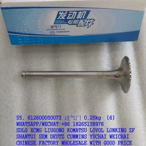 WEICHAI ENGINE PARTS 612600050073 INTAKE VALVE 612600050007 VG1560051001 860125231