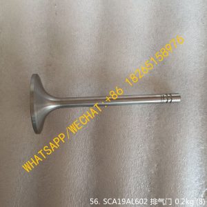SHANGCHAI ENGINE INTAKE VALVE/EXHAUST VALVE SCA19AL602 SCA19AL603B