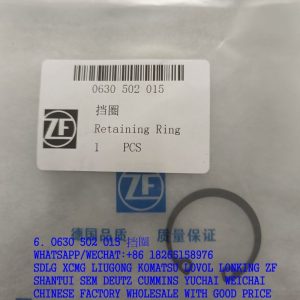 0630 502 015 7200001464 0630502015 retaining ring for ZF spare parts