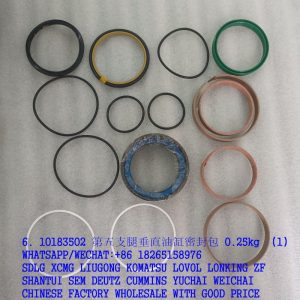SANY EXCAVATOR PARTS 10183502 VERTICAL LEG CYLINDER SEALING KIT