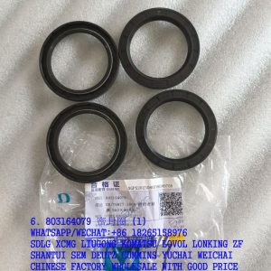 XCMG SPARE PARTS 803164079 SEALING RING GB/T9877-2008