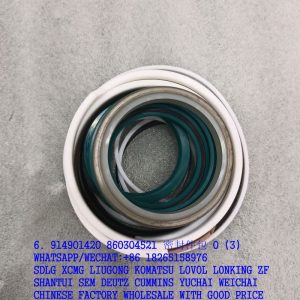 XCMG BACKHOE LOADER 914901420 SEALING RING KIT 860304521 XT870L.3.1.3.1