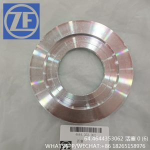 SDLG ZF PARTS 4644 353 062 PISTON 4644353062