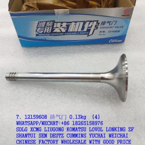 12159608 exhaust valve 13039783 4110000054215 4110000909080 for WEICHAI DEUTZ WP6G125E22