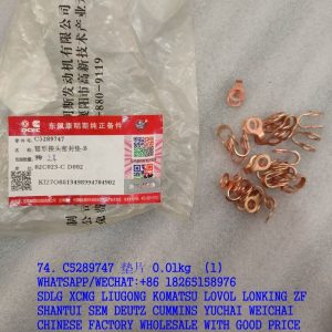 C5289747 CUMMINS JOINT GASKET 5289747 C3903380 C5298320 C5292292