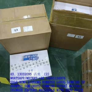 WEICHAI DEUTZ ENGINE PISTON 13032095 4110000846062