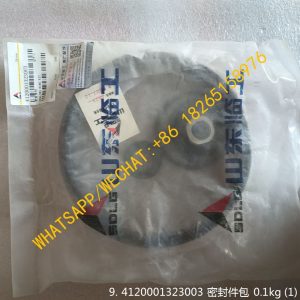 SDLG SEALING RING KIT 4120001323003