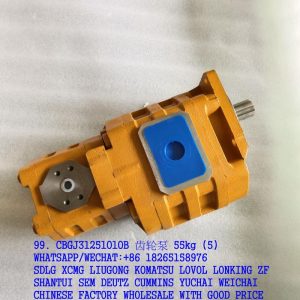 XCMG SPARE PARTS 803004137 GEAR PUMP CBGJ3125/1010B 23000129