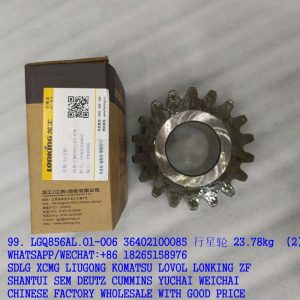 LGQ856AL.01-006 lonking planet gear 36402100085